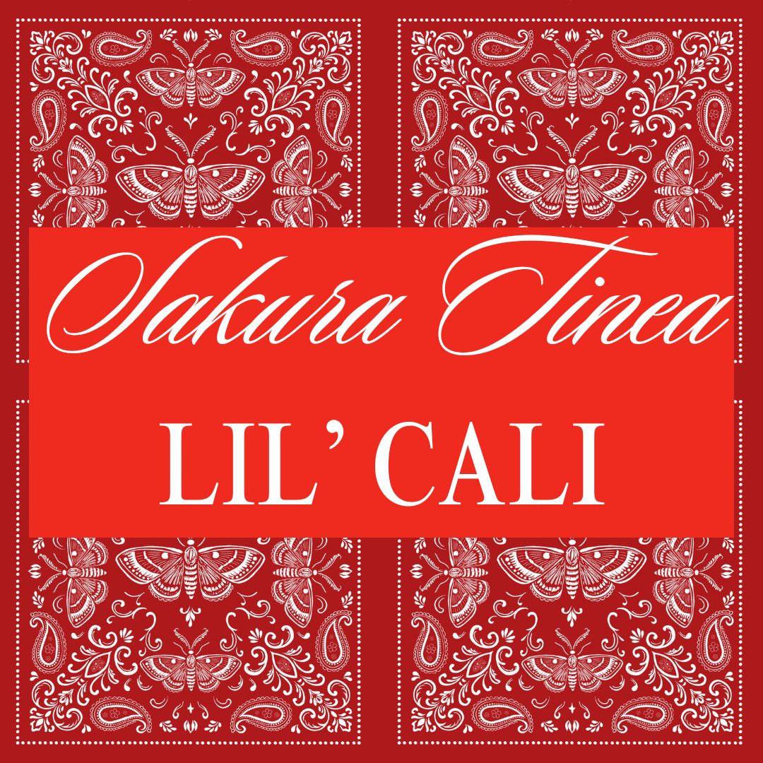 The Orbit Sling – Handmade Bandana Print Shoulder Bag