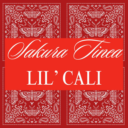 The Orbit Sling – Handmade Bandana Print Shoulder Bag