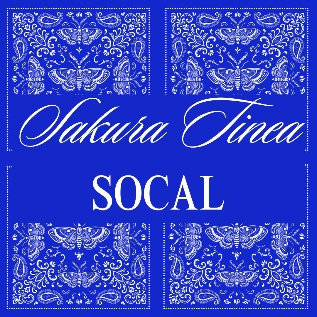 The Orbit Sling – Handmade Bandana Print Shoulder Bag